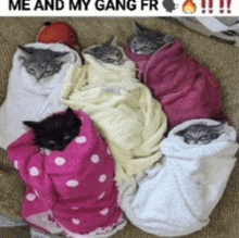 Gangsta Sleeping GIF