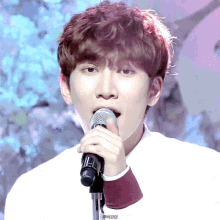 a close up of a person singing into a microphone with the letters r and l visible