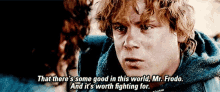 Lord Of The Rings That Theres Some Good In This World GIF - Lord Of The Rings That Theres Some Good In This World Frodo GIFs