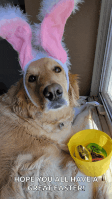 a dog wearing bunny ears is next to a yellow basket of easter candy