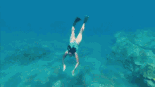 Swimming Lizzy Capri GIF - Swimming Lizzy Capri Underwater GIFs