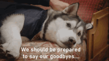 Goodbye Dog GIF - Goodbye Dog Husky GIFs