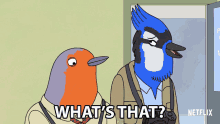 Whats That Paparazzi Blue Jay GIF