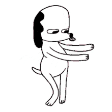 Dance Dog GIF - Dance Dog Animated GIFs
