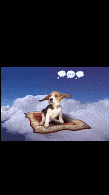 a dog is sitting on a rug in the sky
