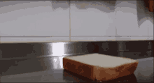 Bread Gets Up GIF - Bread Gets Up GIFs