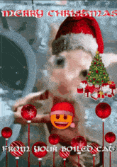 Cat Christmas GIF - Cat Christmas Boiled Cat GIFs