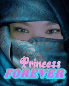 Dudever Dudemeow GIF - Dudever Dudemeow Princess Forever GIFs