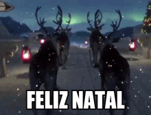 two reindeer are walking down a snowy road with the words feliz natal written above them