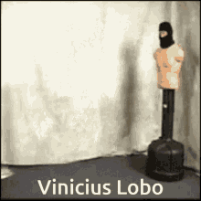 Vinicius Lobo Tsuniii GIF - Vinicius Lobo Tsuniii GIFs