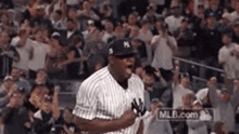 New York Yankees Severino GIF - New York Yankees Severino No GIFs