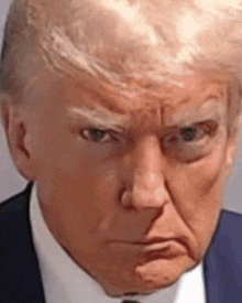 Donald Trump Donald Trump Mugshot GIF - Donald Trump Donald Trump Mugshot Mugshot GIFs