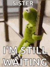 kermit the frog is sitting on a railing holding onto a railing and says `` sister i 'm still waiting ''