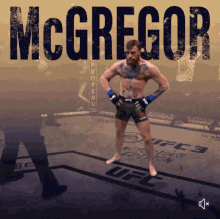 Connor Mc Gregor Ufc GIF - Connor Mc Gregor Ufc Fighter GIFs