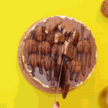 a person cutting a piece of chocolate cake with a knife