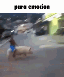 Para Emocion Hog Rider GIF