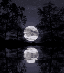 landscape full moon nature goodnight