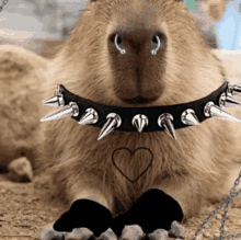 Emo Capybara Emo Capyblappy GIF - Emo Capybara Emo Capyblappy Verdancys GIFs