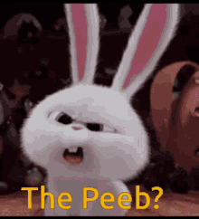 The Peeb Peeb GIF - The Peeb Peeb GIFs