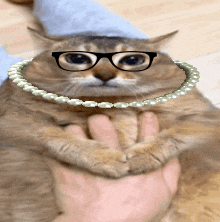 a cat wearing glasses and a pearl necklace is being petted