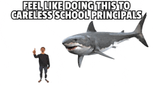 School Principal Shark GIF