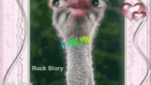 Rock Story GIF - Rock Story GIFs