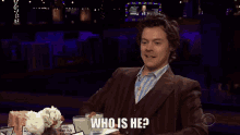 Harry Styles Who Is He GIF - Harry Styles Who Is He GIFs