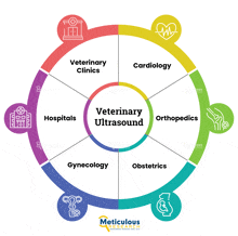 a diagram showing different types of veterinary clinics and veterinary ultrasound