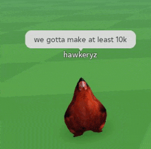 a picture of a chicken with a speech bubble that says we gotta make at least 10k hawkeryz