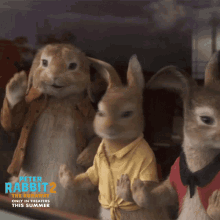Look At A Fixed Point Peter Rabbit GIF - Look At A Fixed Point Peter Rabbit Peter Rabbit2the Runaway GIFs