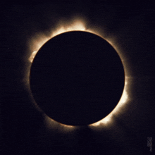 Sun Boykisser GIF - Sun Boykisser Eclipse GIFs