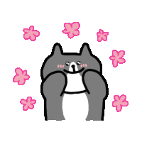 Cat Flower Sticker - Cat Flower Calm Stickers