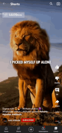 Lion King Image GIF - Lion King Image GIFs