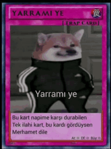 Yarramıye Card GIF - Yarramıye Card Napim GIFs