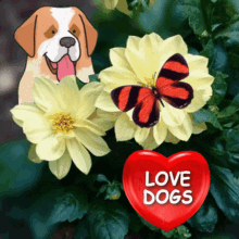 Love Dogs Dog Lover GIF - Love Dogs Dog Lover Mans Best Friend GIFs