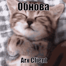 Arx Arx Client GIF - Arx Arx Client обнова GIFs