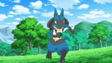 Riolu Pokemon GIF