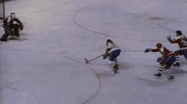 Montreal Canadien Goal GIF - Montreal Canadien Goal Hockey - Discover &  Share GIFs