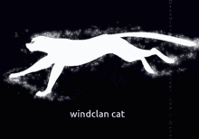 my oc in starclan ru windclan cat