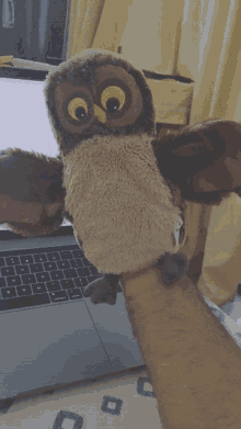 Owl Puppet GIF