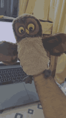 GIF
