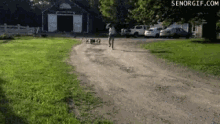 a man walking a dog down a dirt road with a barn in the background