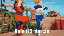 rule 175 tin can dragon ball z rule rule