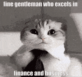 a cat wearing a tie and a shirt says fine gentleman who excels in finance and business .