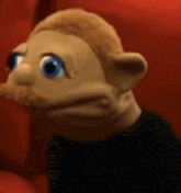 a stuffed animal with blue eyes and a black shirt