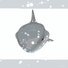 Shark Mine GIF - Shark Mine Animated GIFs