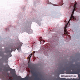 a bunch of pink flowers on a tree branch with a watermark that says ' shedeprum ' on it