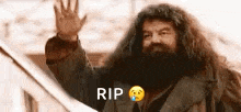 Bye Hagrid GIF - Bye Hagrid GIFs