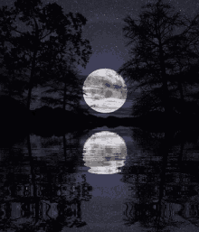 Moon Night GIF - Moon Night Reflection GIFs