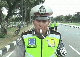 Setop! GIF - Police Stop - Discover & Share GIFs
